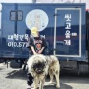 씻고올개 이미지