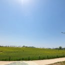 가고픈청보리 이미지