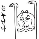 공항동포차 이미지