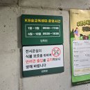 항동푸른숲동물병원 | 구로 푸른수목원 애견동반 뚜벅이 당일치기 꽃구경(서울 강아지 놀거리)
