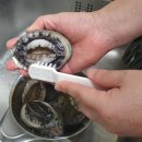 완도전복삼계탕 이미지