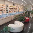 신용사안경 이미지