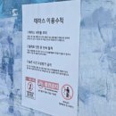 미니 앤 바니 애견샵 | 경주 숙소 추천 자쿠지 온수풀까지 완벽한 샵앤플렛 풀빌라&amp;호텔