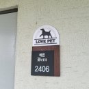 [속초 | 고성여행] 고성 4인숙소추천 :: 켄싱턴리조트 설악밸리 펫베른 후기