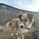 덕현칼국수 이미지