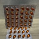 라이프트리 이미지