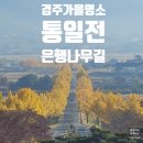 산업대 은행나무길 | 경주 가을 풍경 명소 통일전｜아기랑 은행나무길 산책 후기