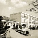 웅천초등학교 이미지