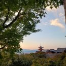 주식회사 예스엘리베이터 | <뇌피셜> 오사카 여행 후기