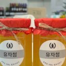 발효이야기