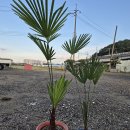 연월농장 이미지