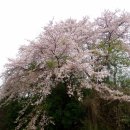 천주산 등산로 이미지