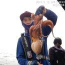 오션스케치 이미지