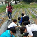 광적공립지역아동센터 이미지