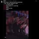 뮤즈 라이브 | 뮤즈 보러 갔다 왔습니다 (뮤즈콘 후기)