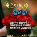 6월9일🟣엉덩이기억상실증&가정상비약🟣 이미지