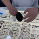 올빗안경 이미지