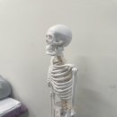 바른몸안마원 이미지