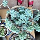 우암농장 이미지