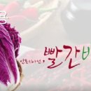 영농조합법인성진 이미지