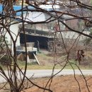 사연농장 이미지