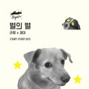 라팡