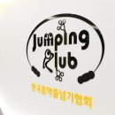 점핑클럽음악줄넘기 이미지