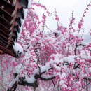 효령로 59-7 이미지