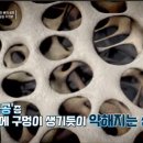 강철푸드