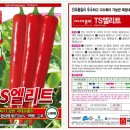 아시아초장 이미지