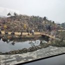 인터넷뉴월드 이미지