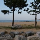 천학정민박