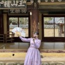 독락당 | [후기] 500년 고택에 울려 퍼진 선율, 독락당 국악 버스킹 현장 🎻🎶