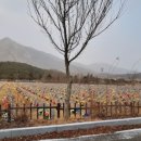 호텔스카이파크대전1호점 이미지