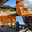 주식회사 밀양전통한과 | 대구 부산 근교 가볼만한곳 밀양 카페 추천 퇴로정 한옥카페 애견동반