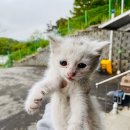 남일석재 이미지