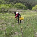 원순농장 이미지