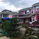 세솔팬션 이미지