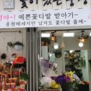 꽃이있는풍경 이미지