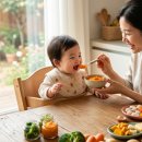 미소중기 | 이유식 재료들 시작 시기 | 초기 중기 후기 재료 가이드