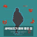 신풍영농조합법인 이미지