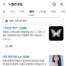 누벨르네일 네이버블로그