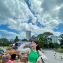 국풍당약국 | (말레이시아 여행갔어용가리) 쿠알라룸푸르에서 6박 7일 일주