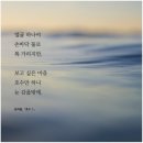 퍼니스토리(가좌공원점) | 4월 첫째 주