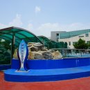 파도수산 앞 이미지