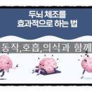 뇌와 몸을 깨우는 뇌체조(오전) 이미지