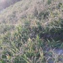 호명농장 이미지