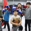 더 파이팅 복싱짐 이미지