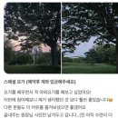 위례성대로16길 | 방이동 요가 OOO없는 후기 광고업체의 후기에 속으시겠습니까?