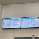 (주)펫스토리 | (평택고덕)애견카페 펫스토리 내돈내산 후기.